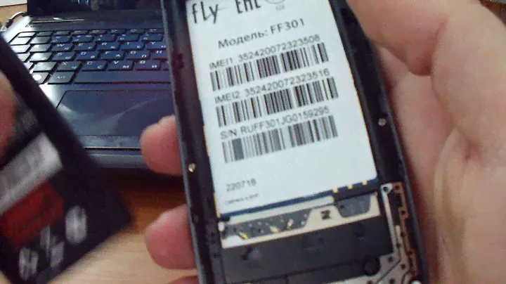 fly ff301