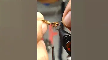 The DRY FLY you NEED!