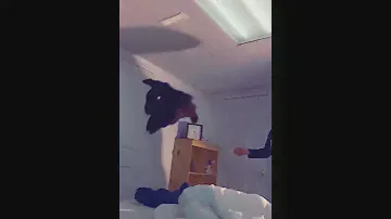 Flying  Rabbit