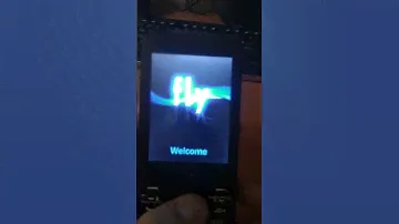 Fly TS113 Startup/Shutdown