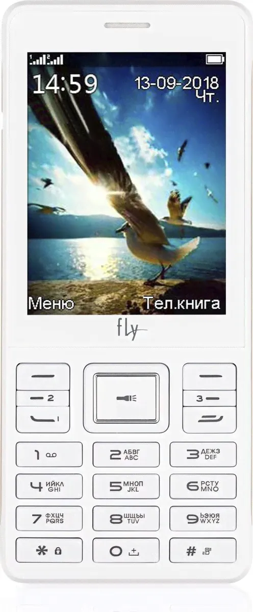 Fly Мобильный телефон Мобильный телефон Fly TS114, белый